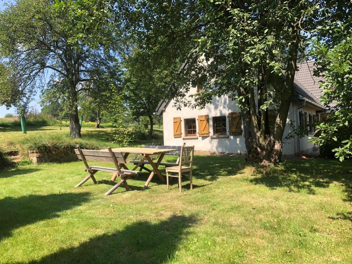 Klimatyczny Dom Kopaczowka Przytulna Miejscowka Z Kominkiem, Sauna I Ogrodem U Podnoza Gor Stolowych Radkow Exteriör bild