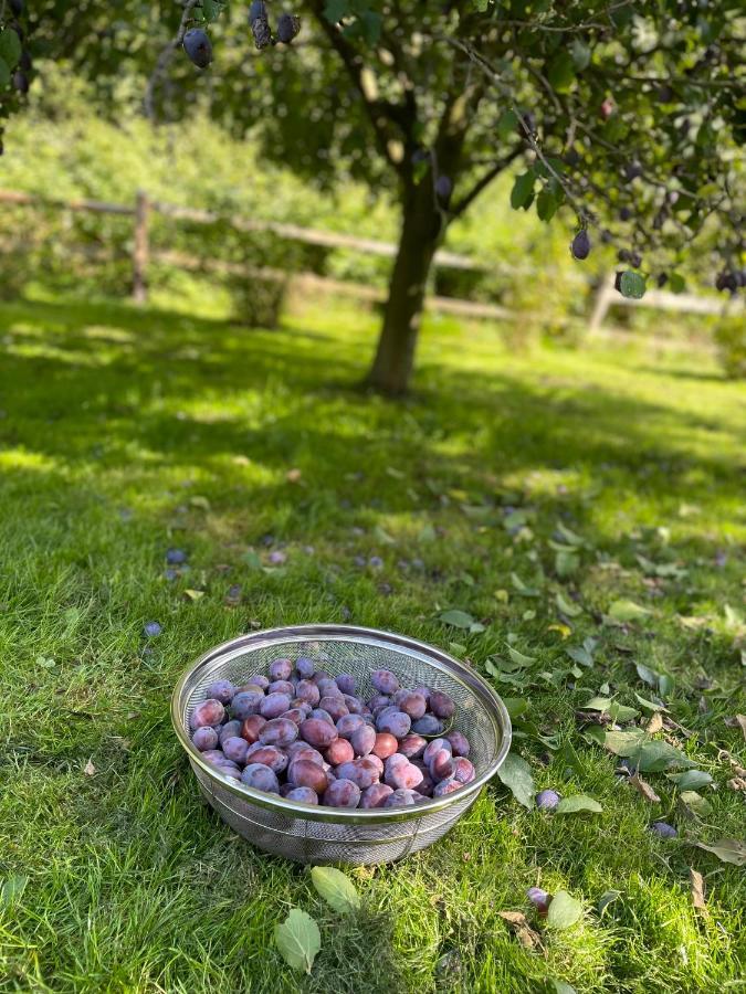 Klimatyczny Dom Kopaczowka Przytulna Miejscowka Z Kominkiem, Sauna I Ogrodem U Podnoza Gor Stolowych Radkow Exteriör bild